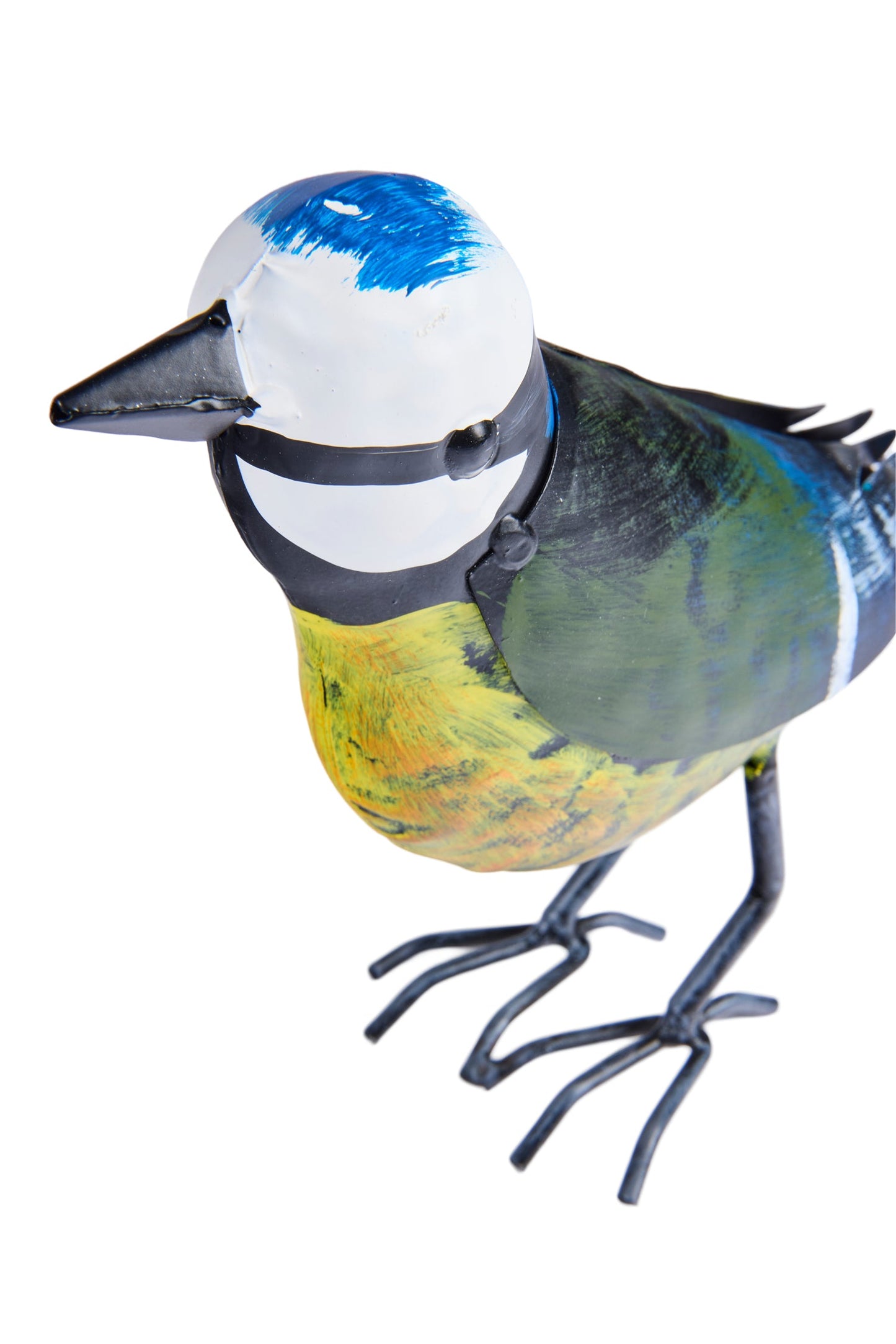 Volaille - Cinciarella Famiglia Dei Passeri Uccellino