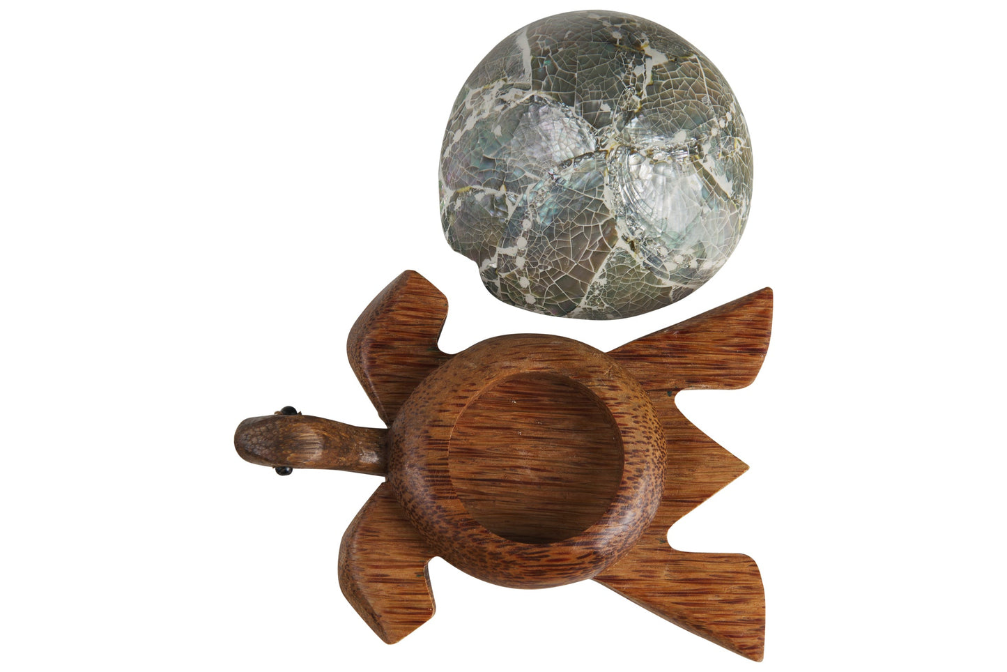 Tartaruga - Porta Tea Light Carapace in Abalone