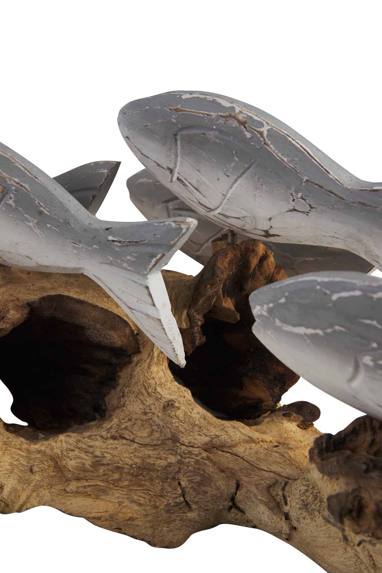 Pesce - Branco Pesci Grigi Su Tronco