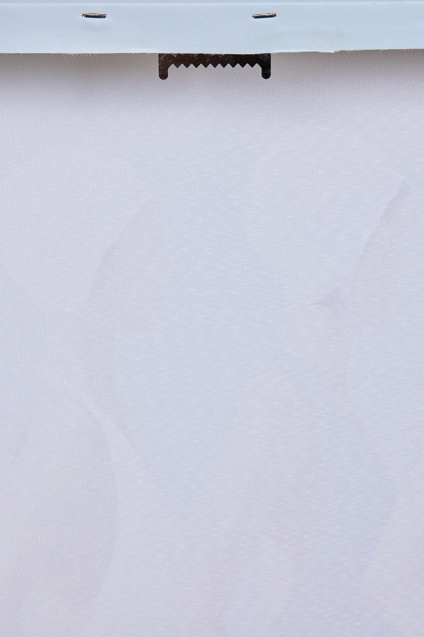 Galleria - Tela Dipinta Nuotatrici