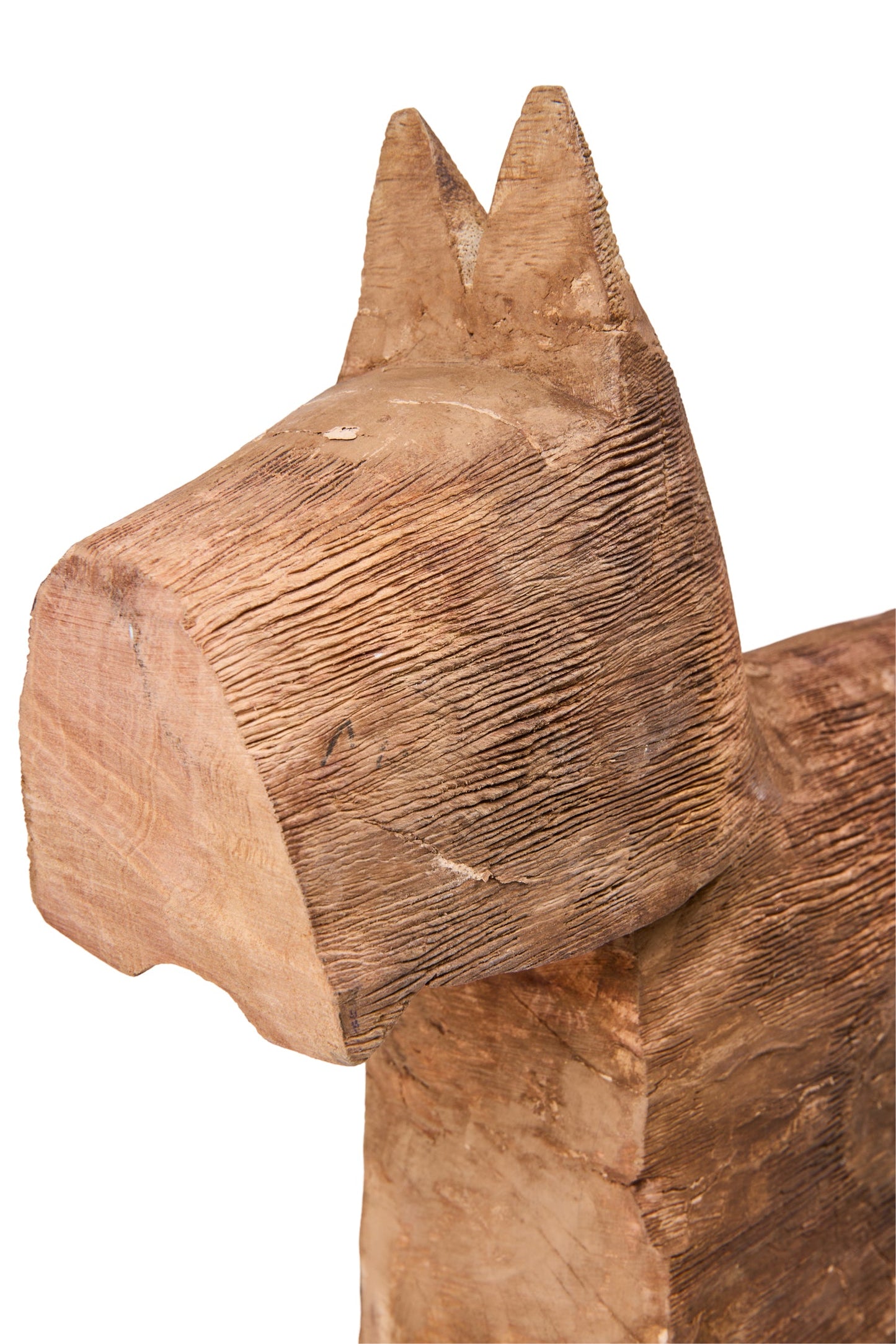 Tchau - Terrier scozzese tagliato