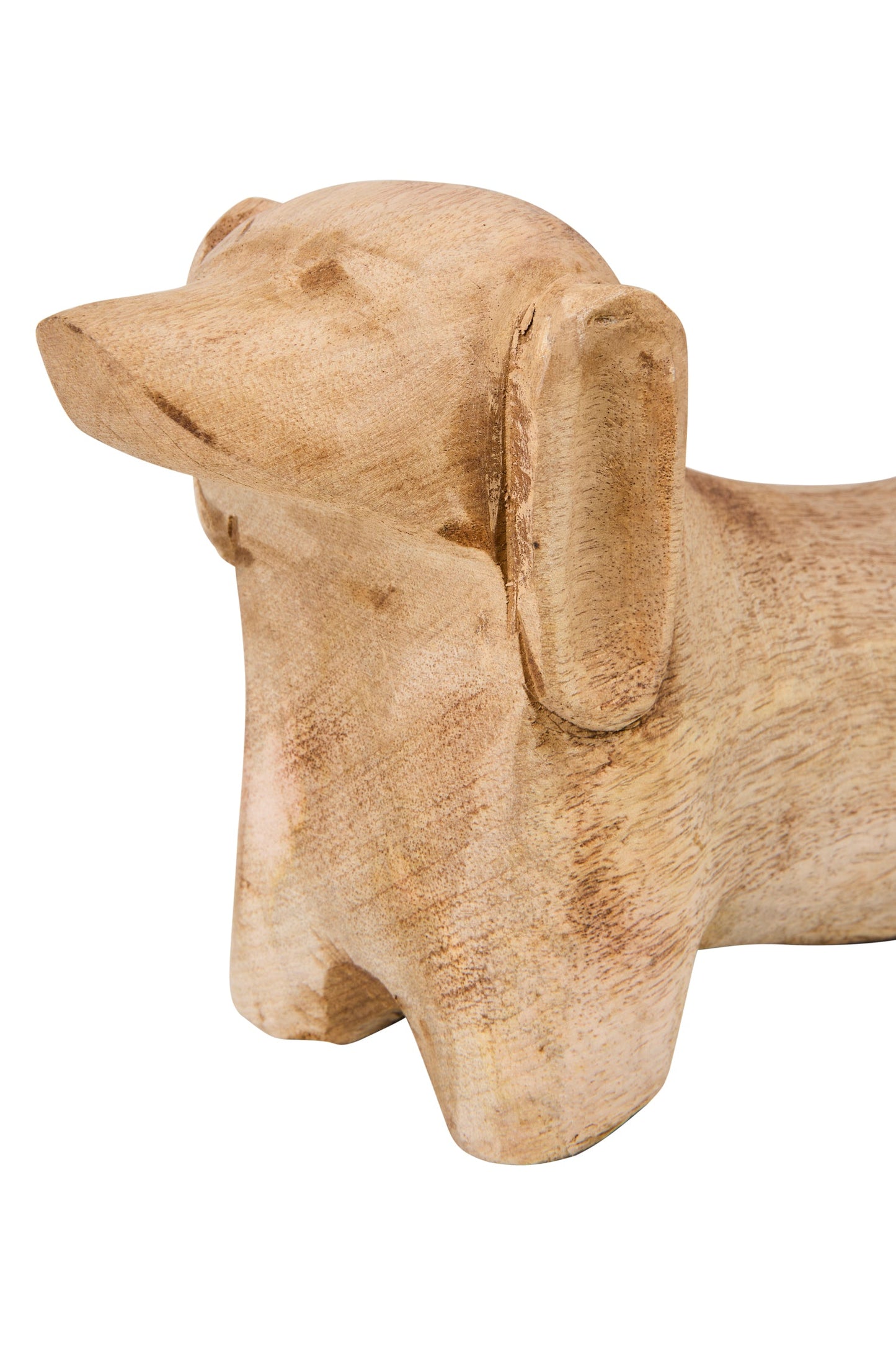 Tchau - Canna Bassotto Intagliato