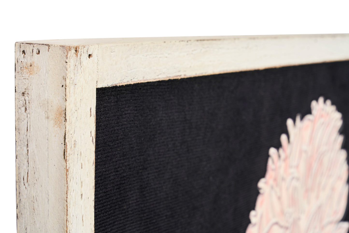 Natura morta - quadro fondo nero