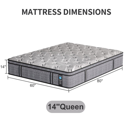 Materasso ibrido in memory foam Modland da 14'' Queen in una scatola - Sollievo dalla pressione e isolamento del movimento, CertiPUR-US per il sollievo dal mal di schiena