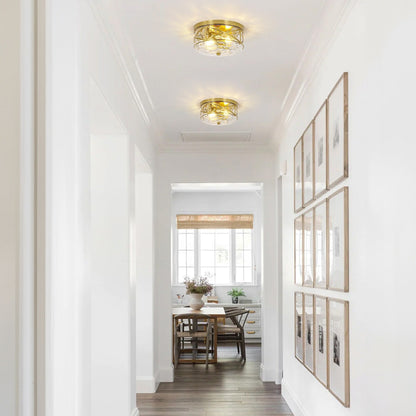 Plafoniera in vetro a 2 luci con montaggio a filo e struttura in metallo