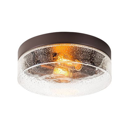 Lampada da soffitto a 2 luci moderna in stile fattoria, con cupola in vetro trasparente con semi/bolle