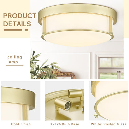 Lampada da soffitto in vetro a 3 luci, montaggio a filo, vetro seminato