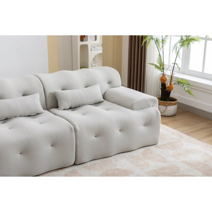 Divano a 2 posti con molle in schiuma da 90 pollici e design senza montaggio