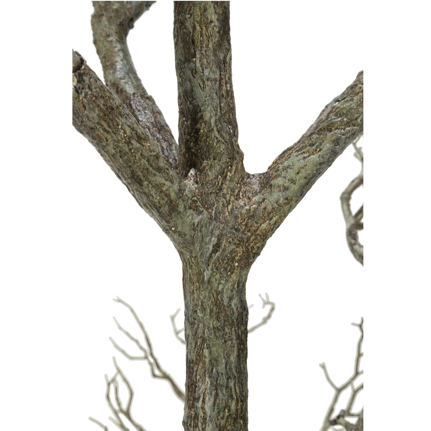 96 Ramoscello di legno morto