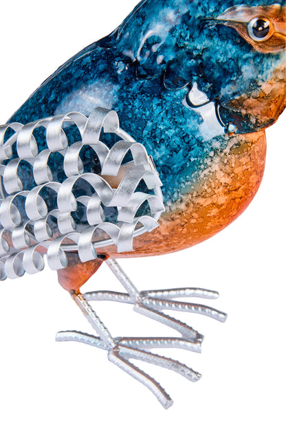 Volaille-Pettirosso Uccellino