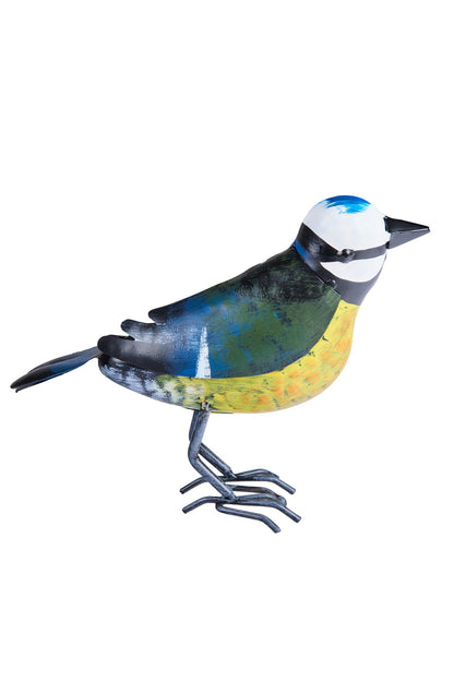 Volaille - Cinciarella Famiglia Dei Passeri Uccellino