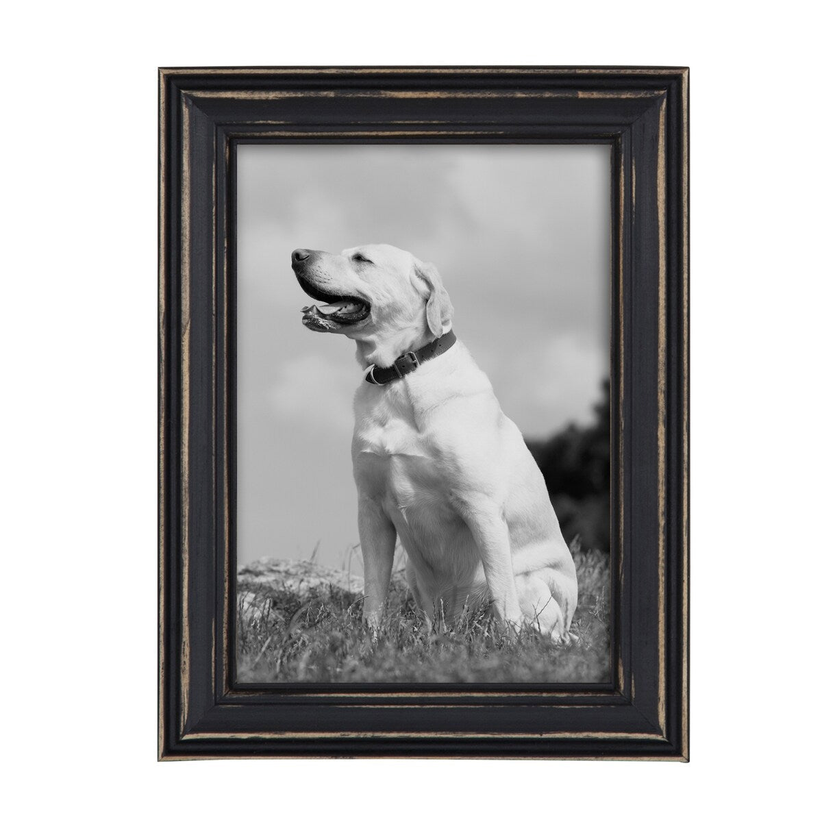 Kate and Laurel Bordeaux set di 10 cornici da parete in legno