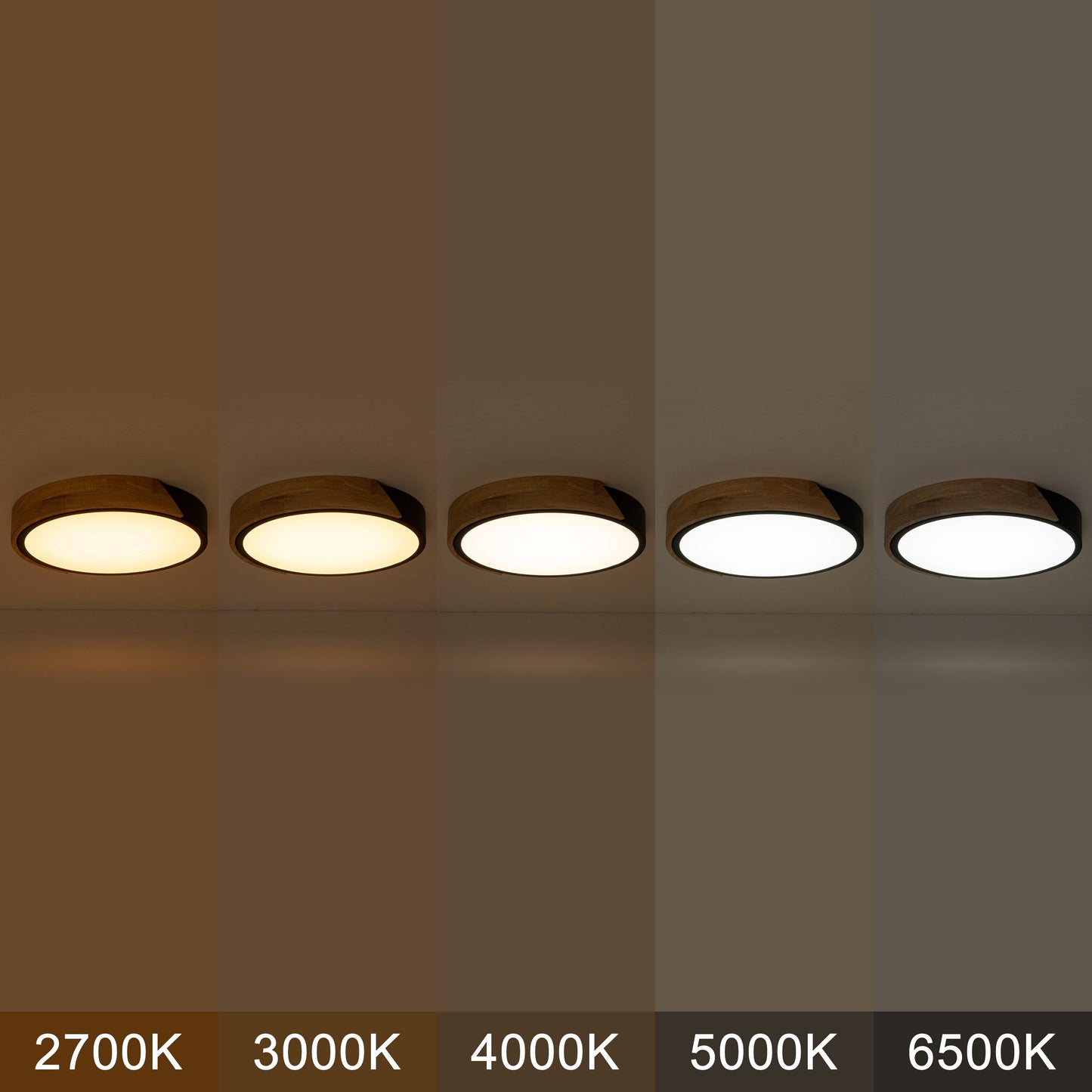 Lampada da soffitto a LED integrata Cattleya 5CCT