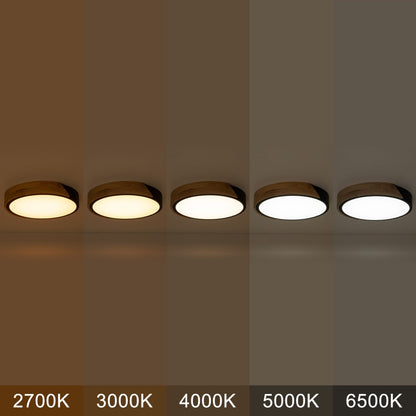 Lampada da soffitto a LED integrata Cattleya 5CCT