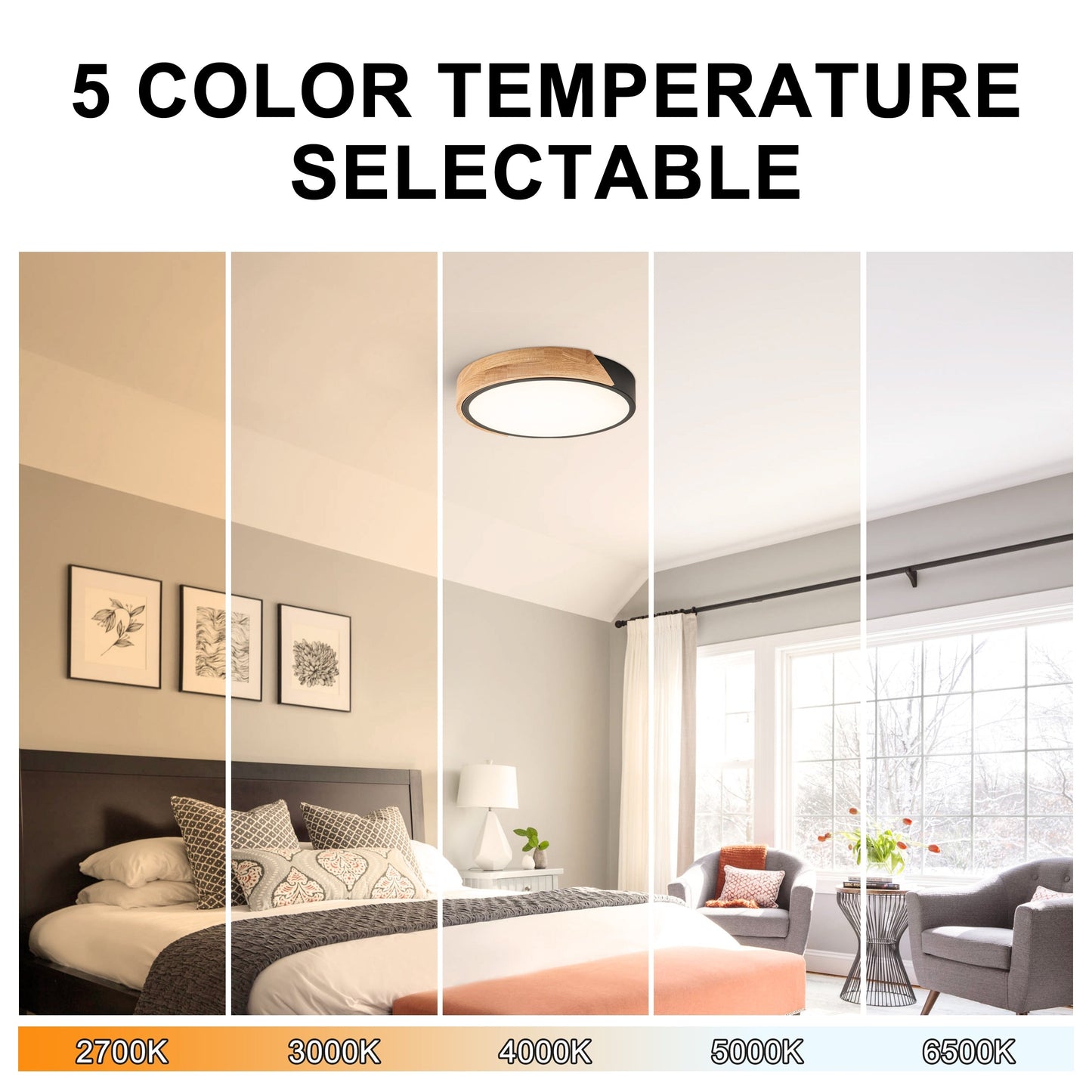 Lampada da soffitto a LED integrata Cattleya 5CCT