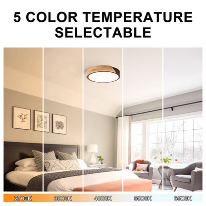 Lampada da soffitto a LED integrata Cattleya 5CCT