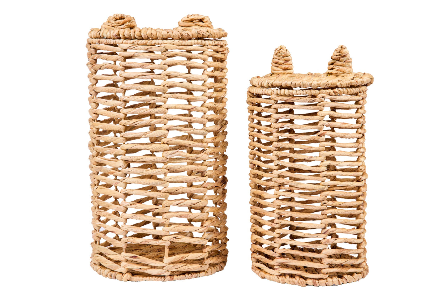 Baiser - Set Ceste 1/2 Giacinto D'Acqua