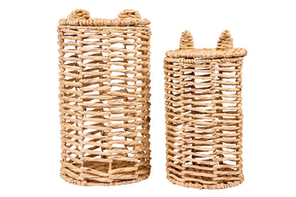 Baiser - Set Ceste 1/2 Giacinto D'Acqua