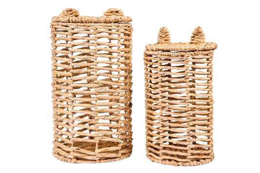 Baiser - Set Ceste 1/2 Giacinto D'Acqua