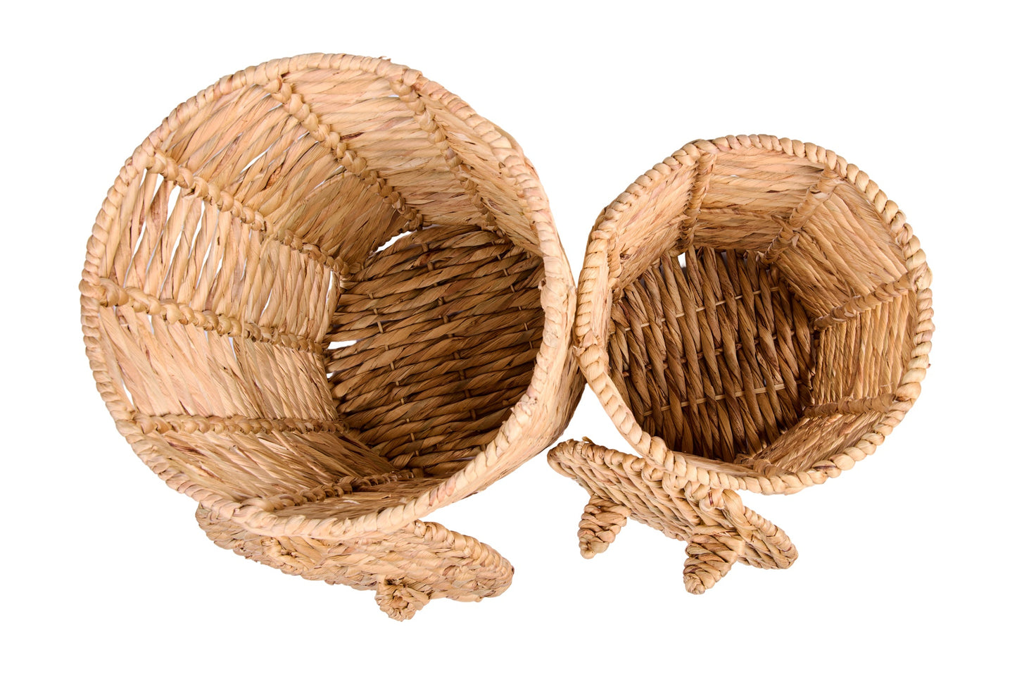 Baiser - Set Ceste 1/2 Giacinto D'Acqua