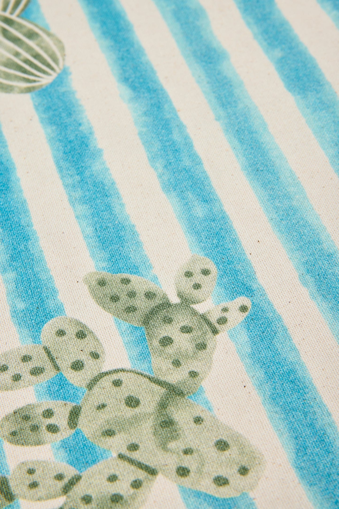 Marzameni - Set Tovagliette 1/4 Cactus