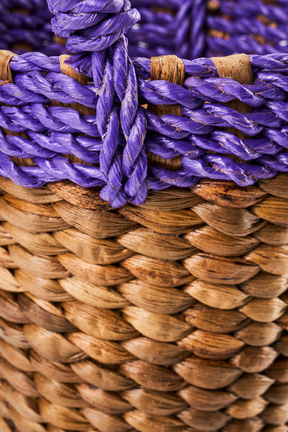 Primavera - Cestino Bordo Viola