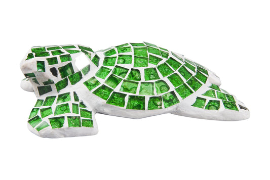 Colore - Tartaruga Con Specchietti Verdi