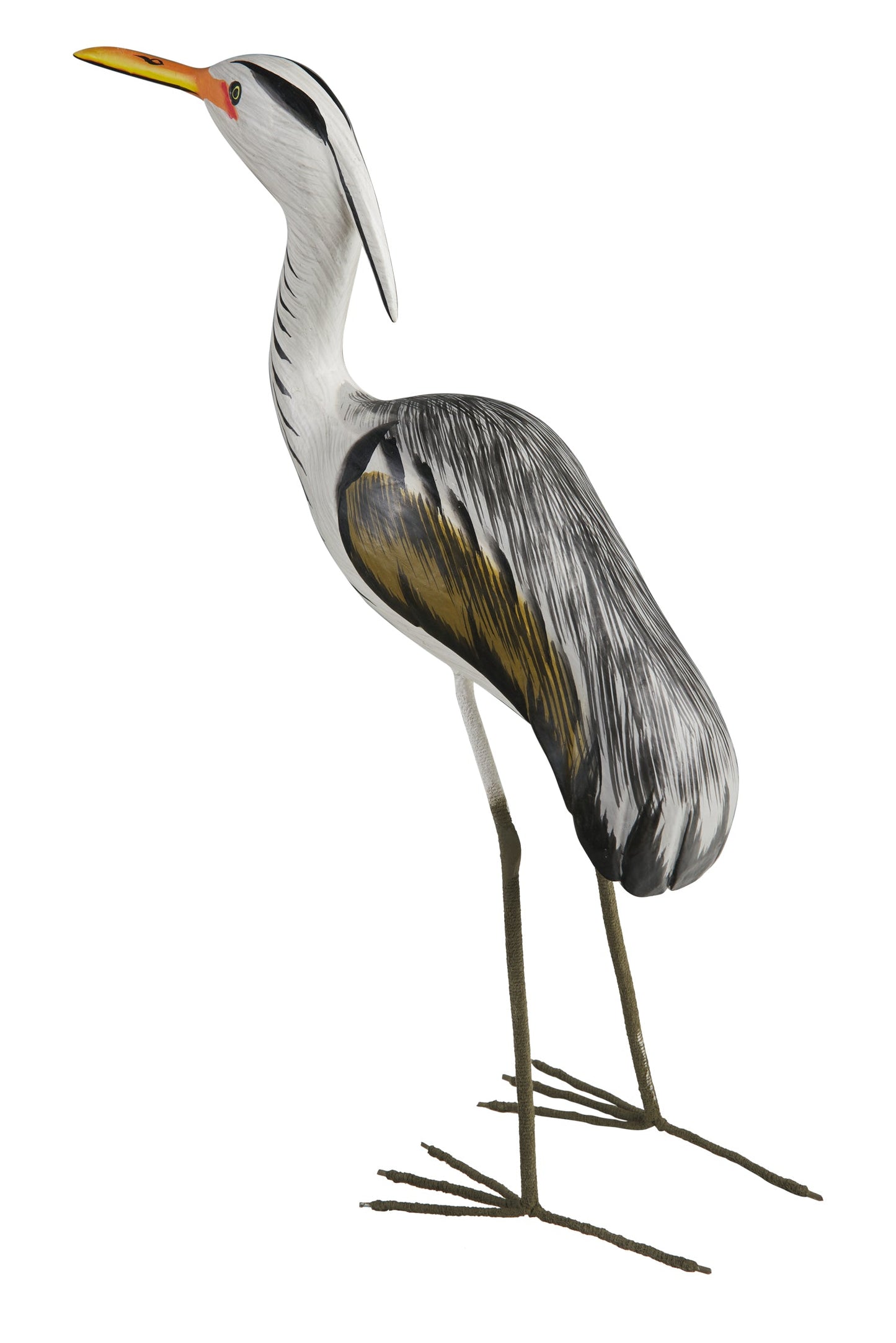 Uccelli acquatici - Pellicano Su Zampe