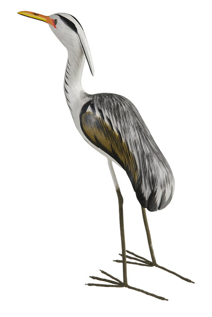 Uccelli acquatici - Pellicano Su Zampe