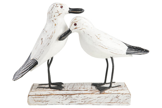 Uccelli acquatici - Gabbiani In Amore Su Tronco