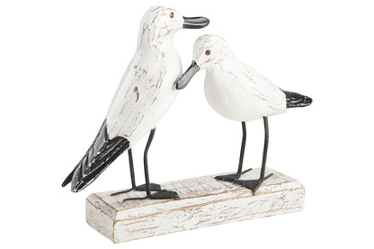 Uccelli acquatici - Gabbiani In Amore Su Tronco