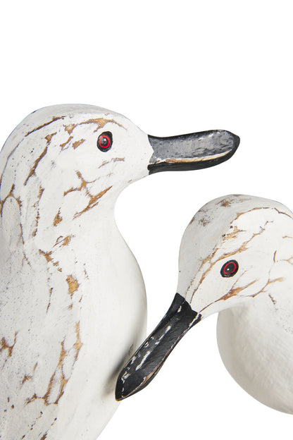 Uccelli acquatici - Gabbiani In Amore Su Tronco