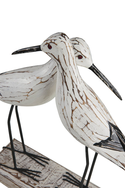 Uccelli acquatici - Aironi In Amore Su Tronco