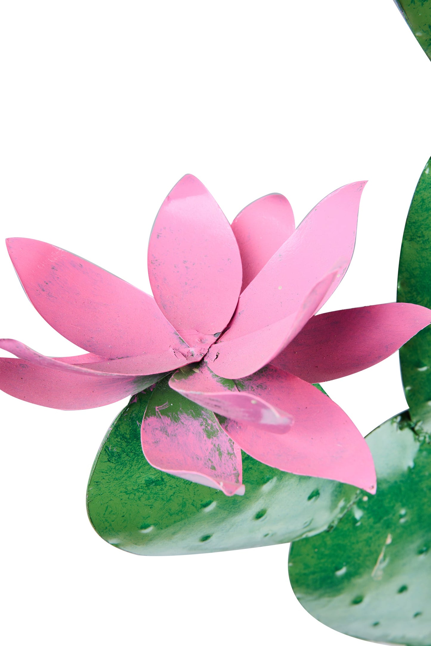 Decoro - Cacatus Scultura In Ferro Alta