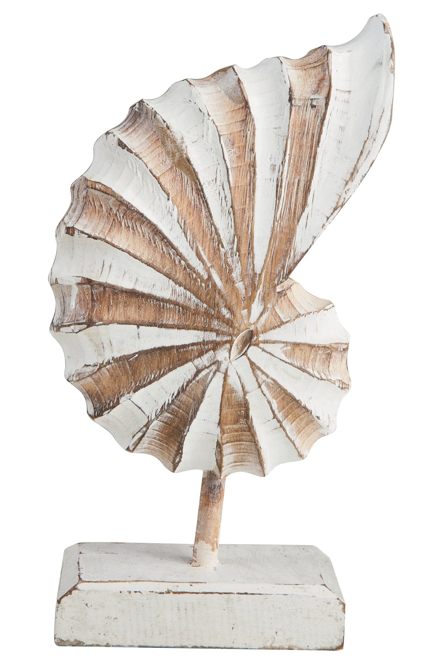 Conchiglia - Conchiglia Scultura Carving Su Piedistallo