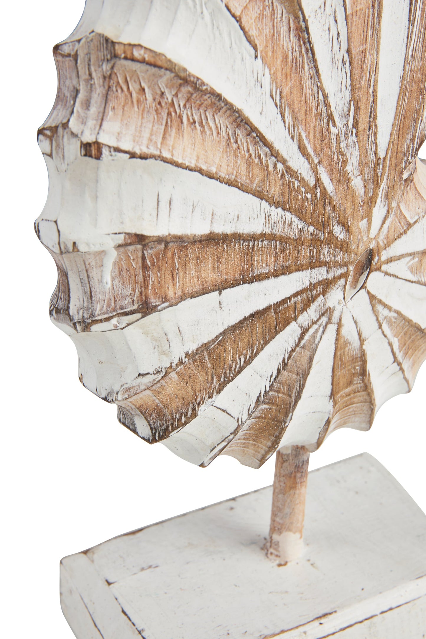 Conchiglia - Conchiglia Scultura Carving Su Piedistallo