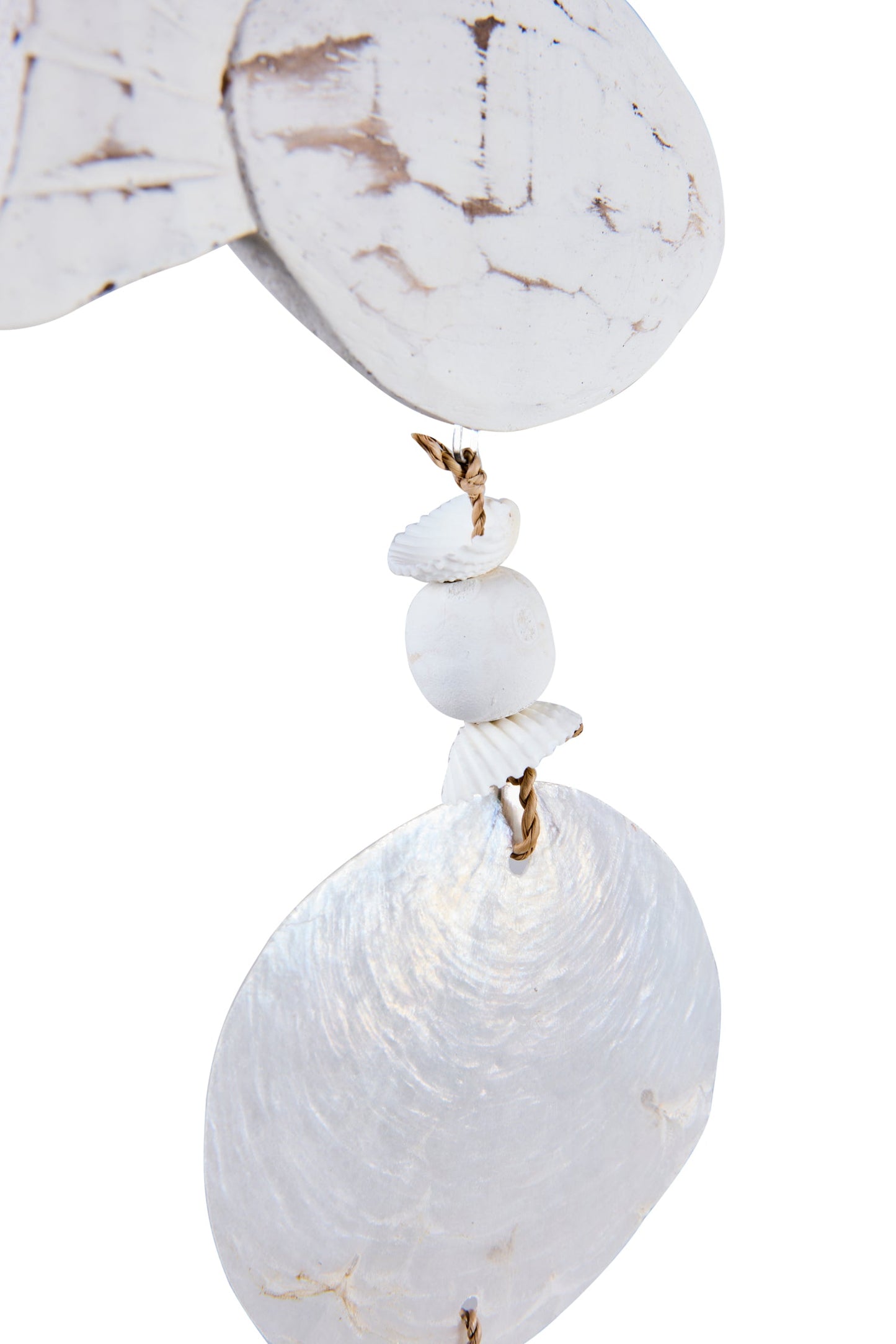 Decoro - Nappa Con Pesce E Conghiglia Bianca