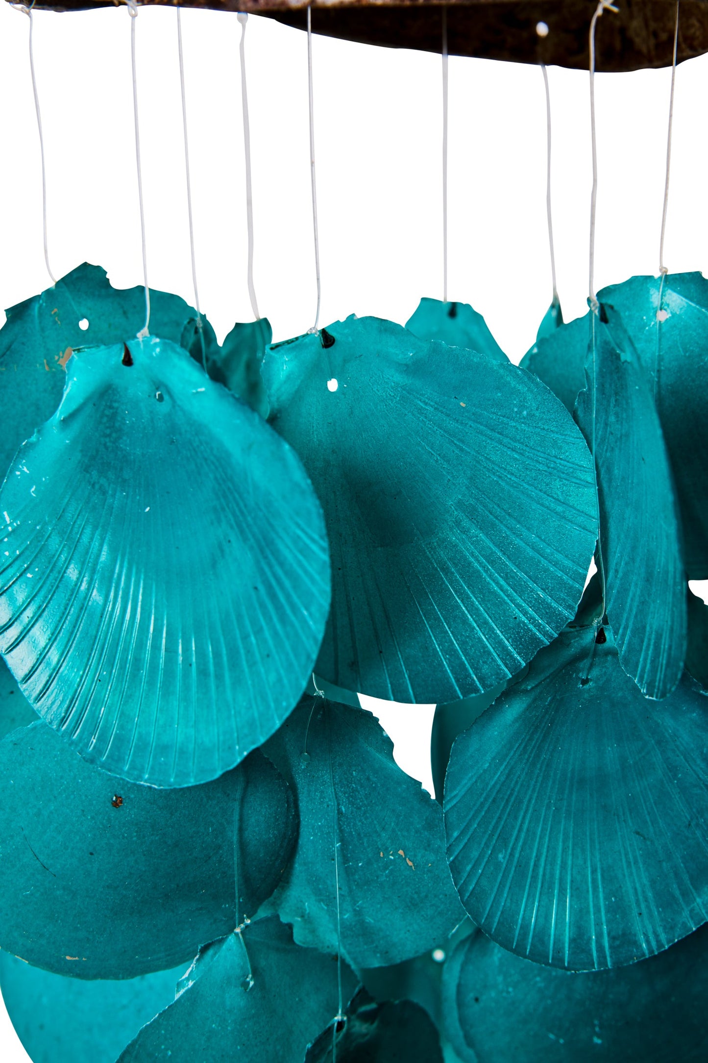 Suoni del Vento - Cocco Con Fili Conchiglie Verde Smeraldo