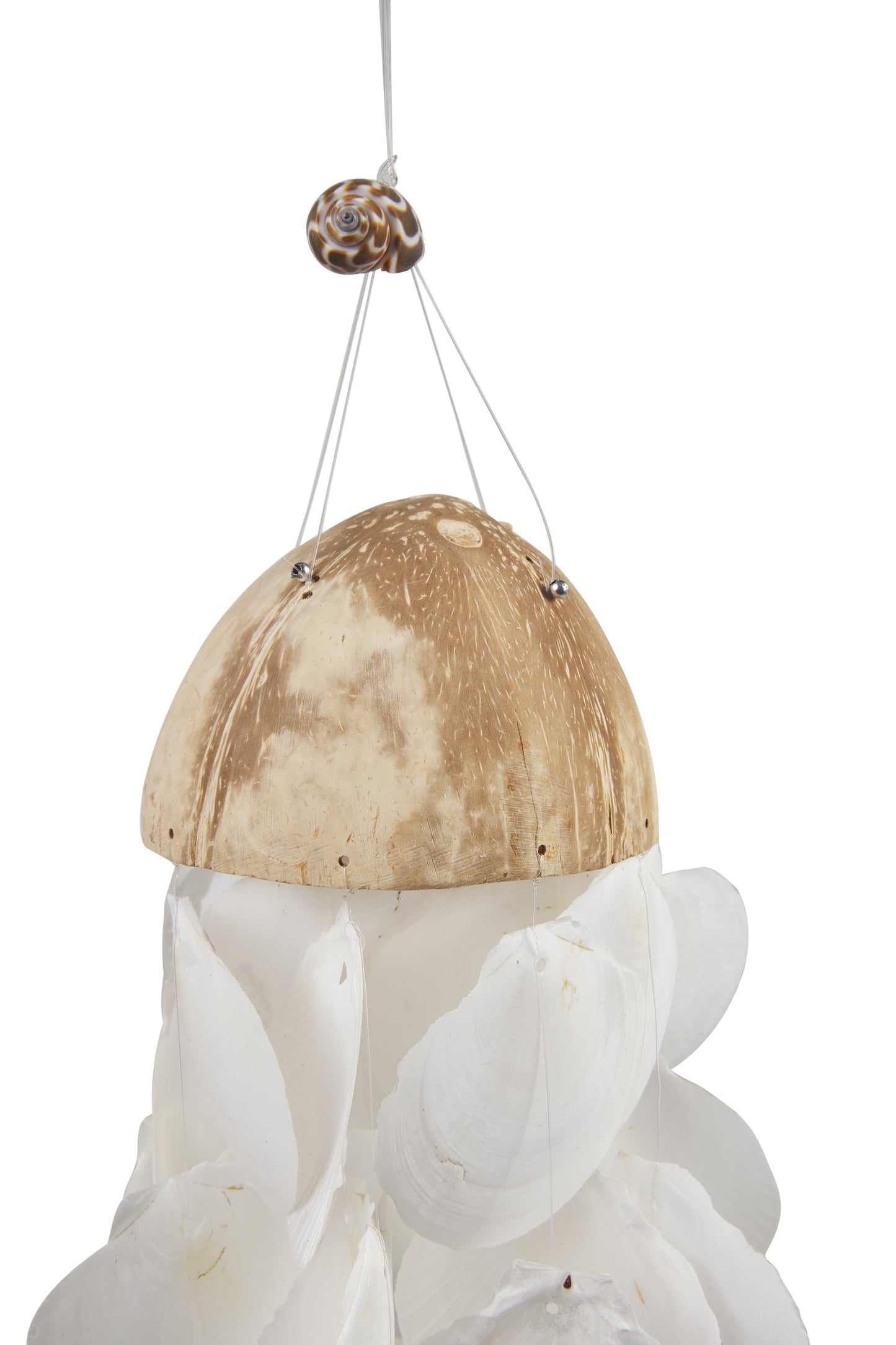 Suoni del Vento - Cocco Shabby Con Fili Conchiglie Bainche