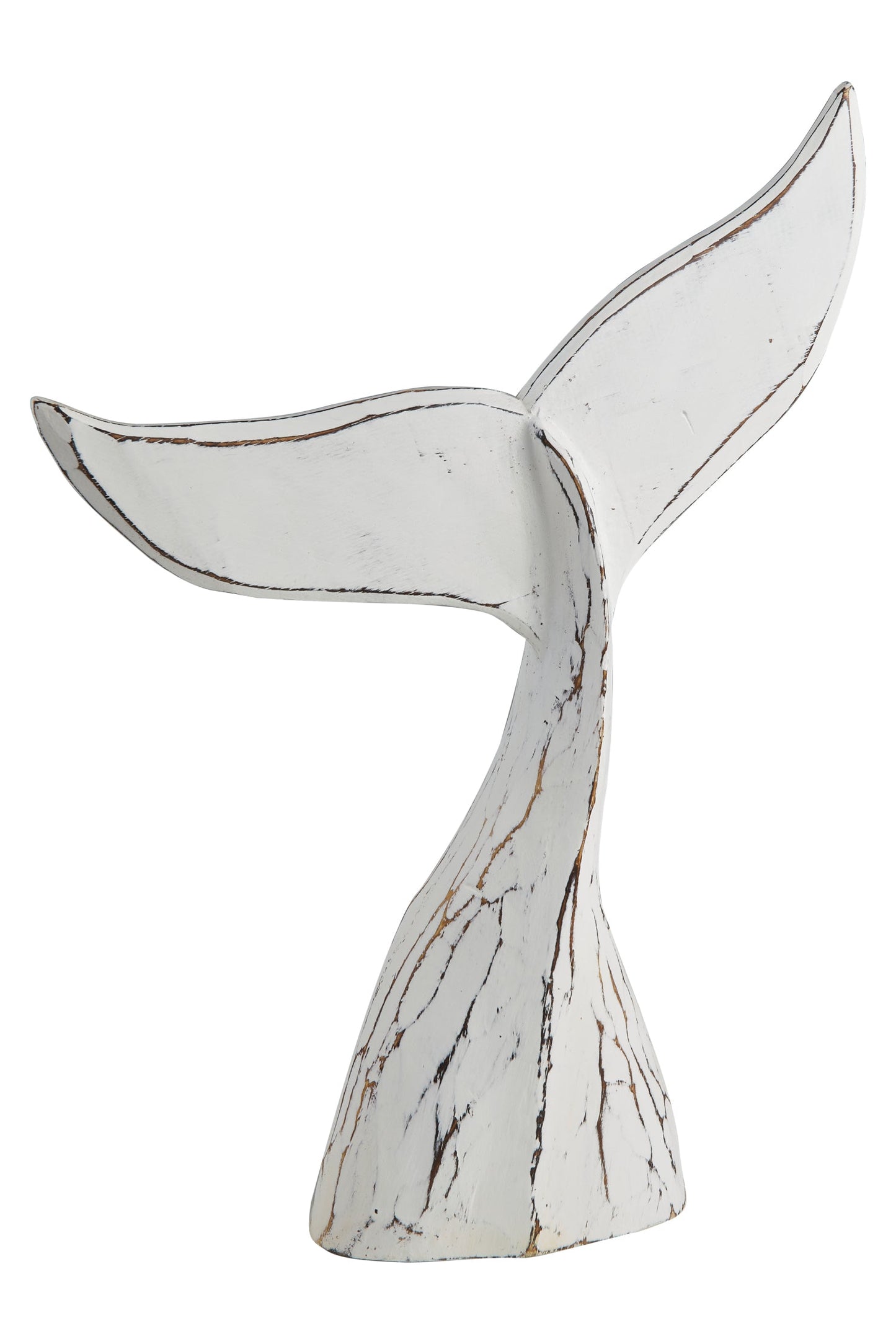 Pesce - Coda Di Balena Senza Piedistallo