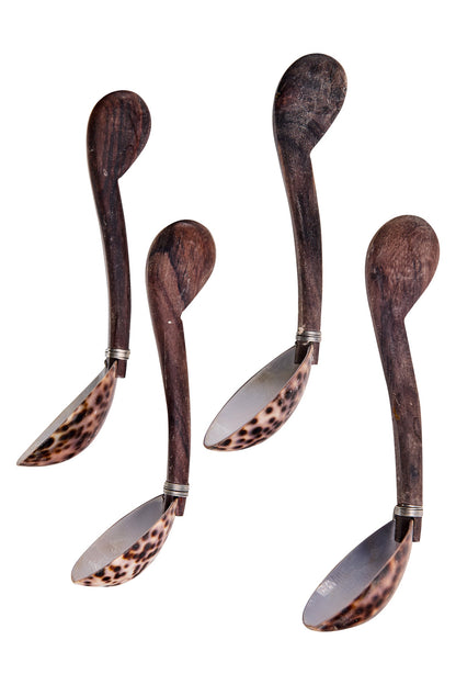 Conchiglie Maculate - Cucchiani Concavi Set 1/4