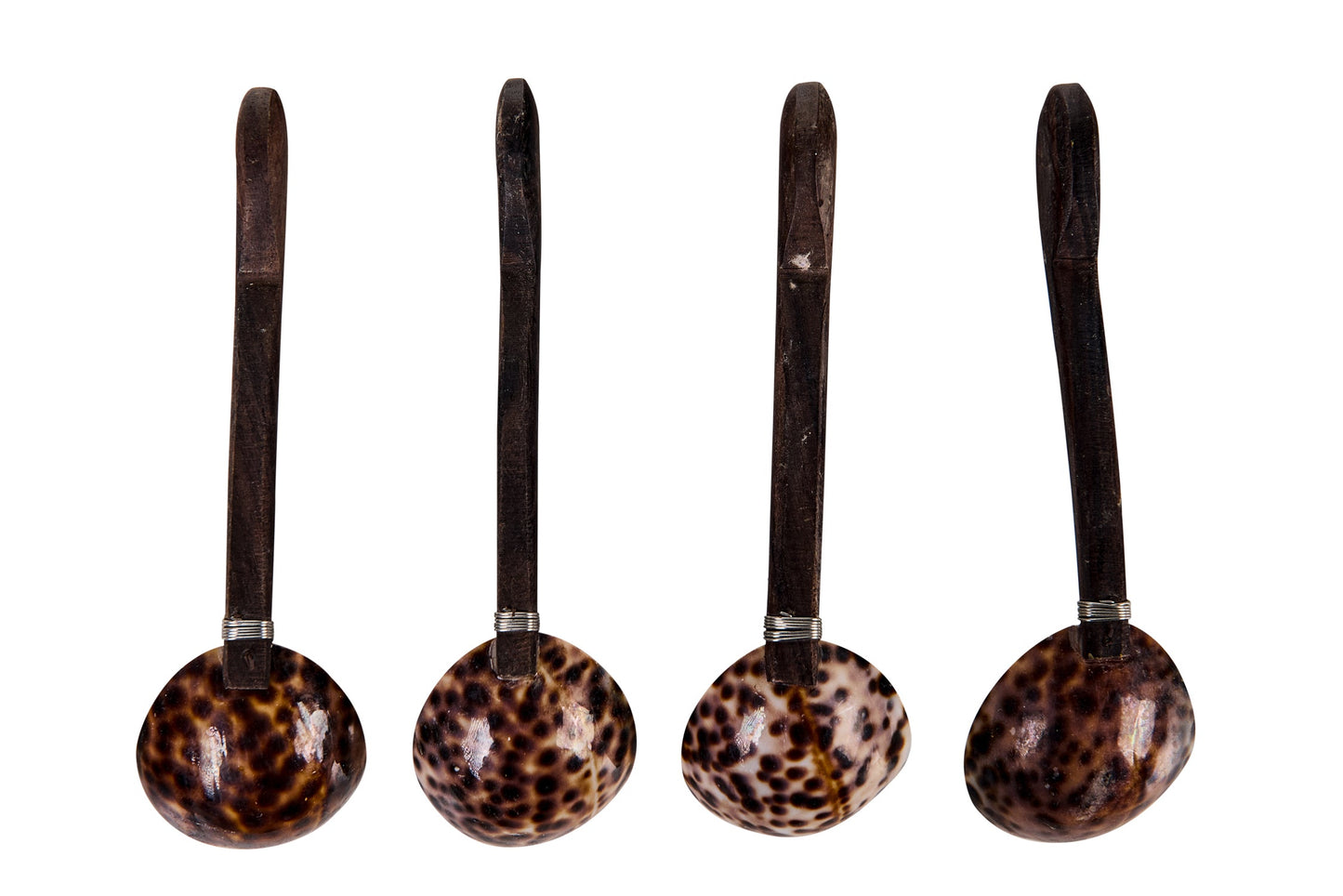 Conchiglie Maculate - Cucchiani Concavi Set 1/4