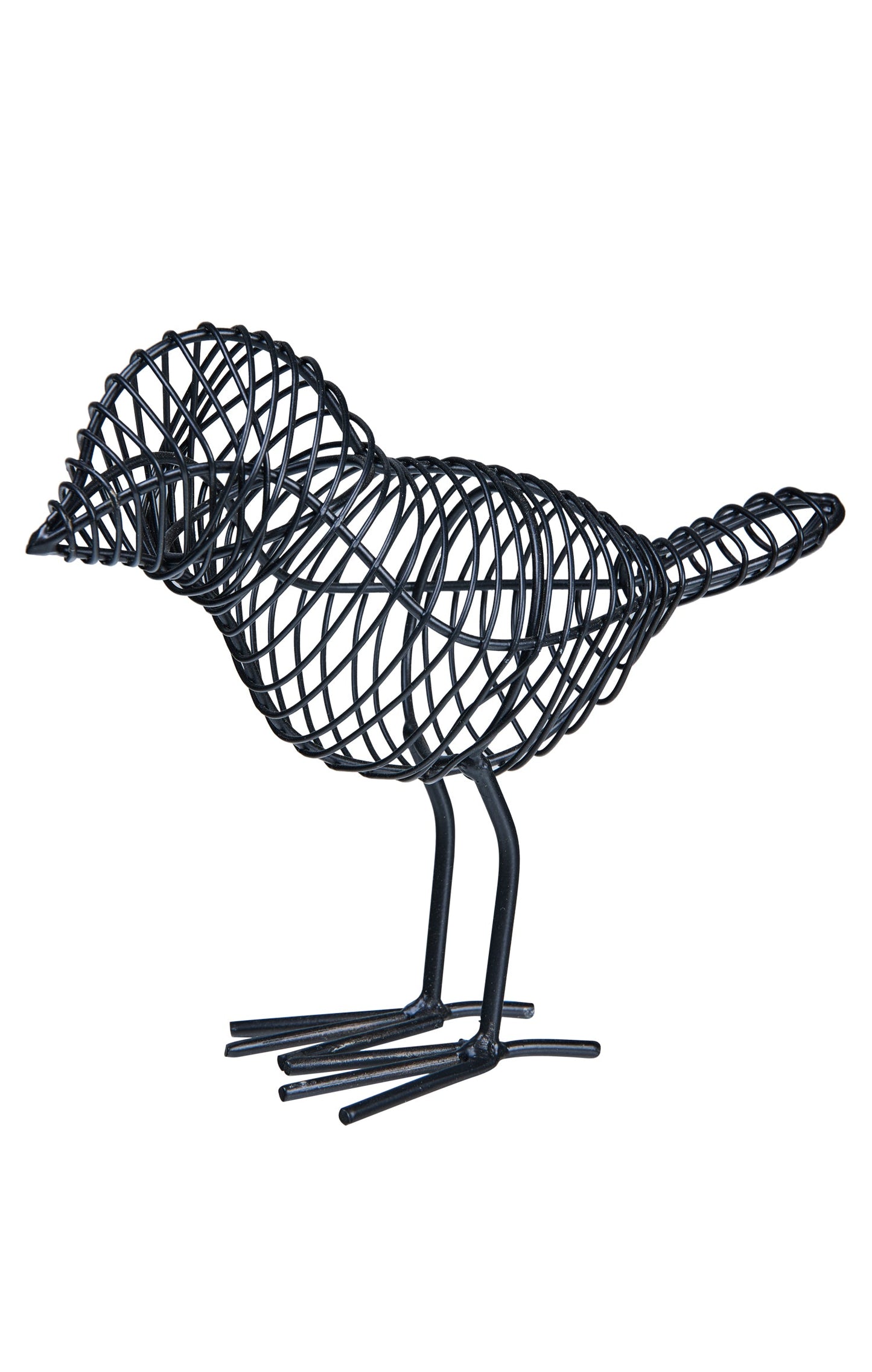 Vincent - Uccellino Piccolo Nuit