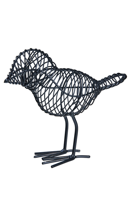 Vincent - Uccellino Piccolo Nuit