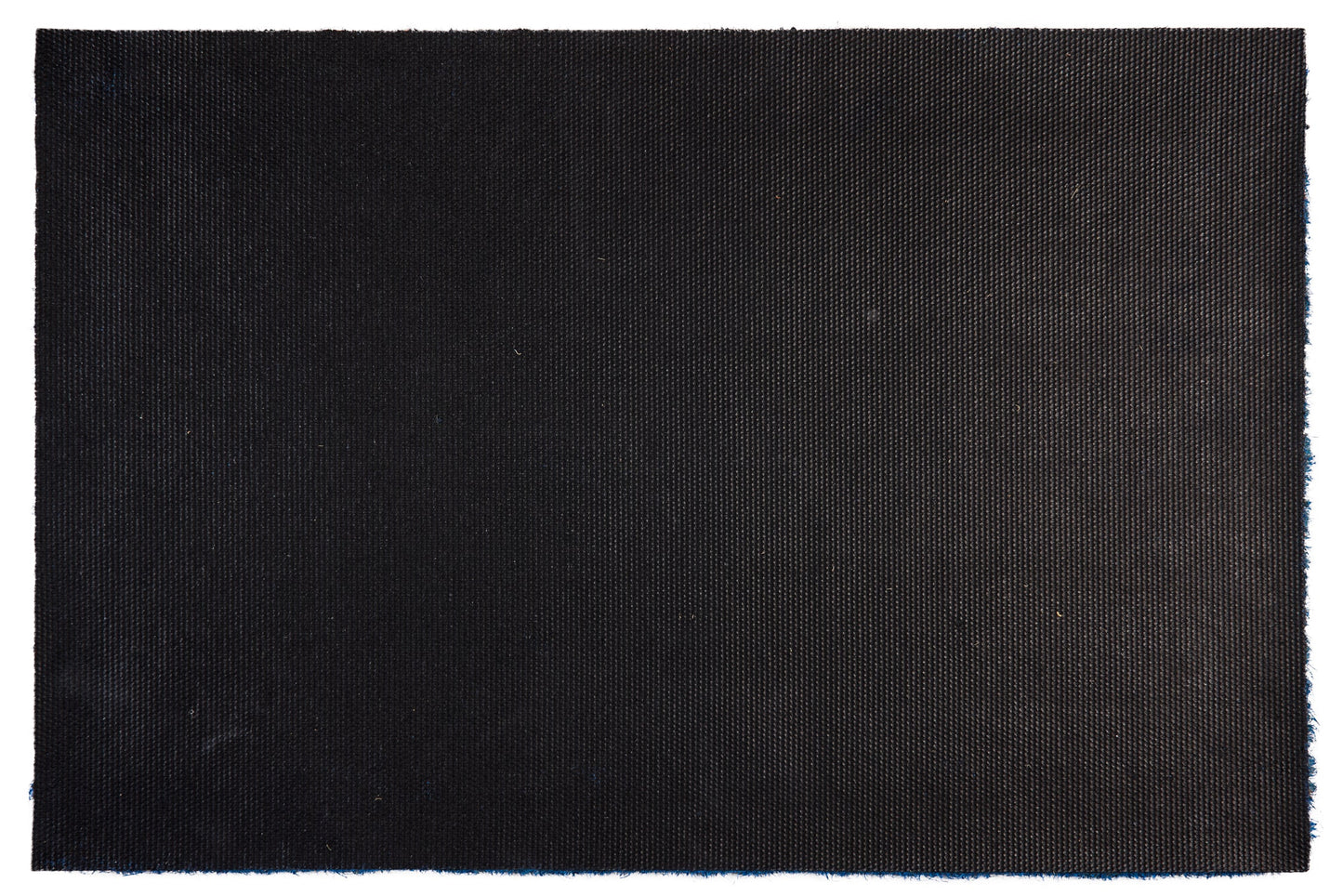 Zerbino Coco - Benvenuti a bordo della Base Azzurra