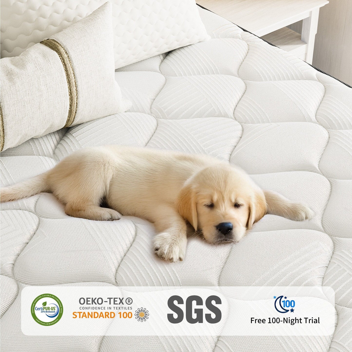 Materasso ibrido rigido SweDrea da 10 pollici, rinfrescante e traspirante con CertiPUR-US, SGS e OEKO-TEX