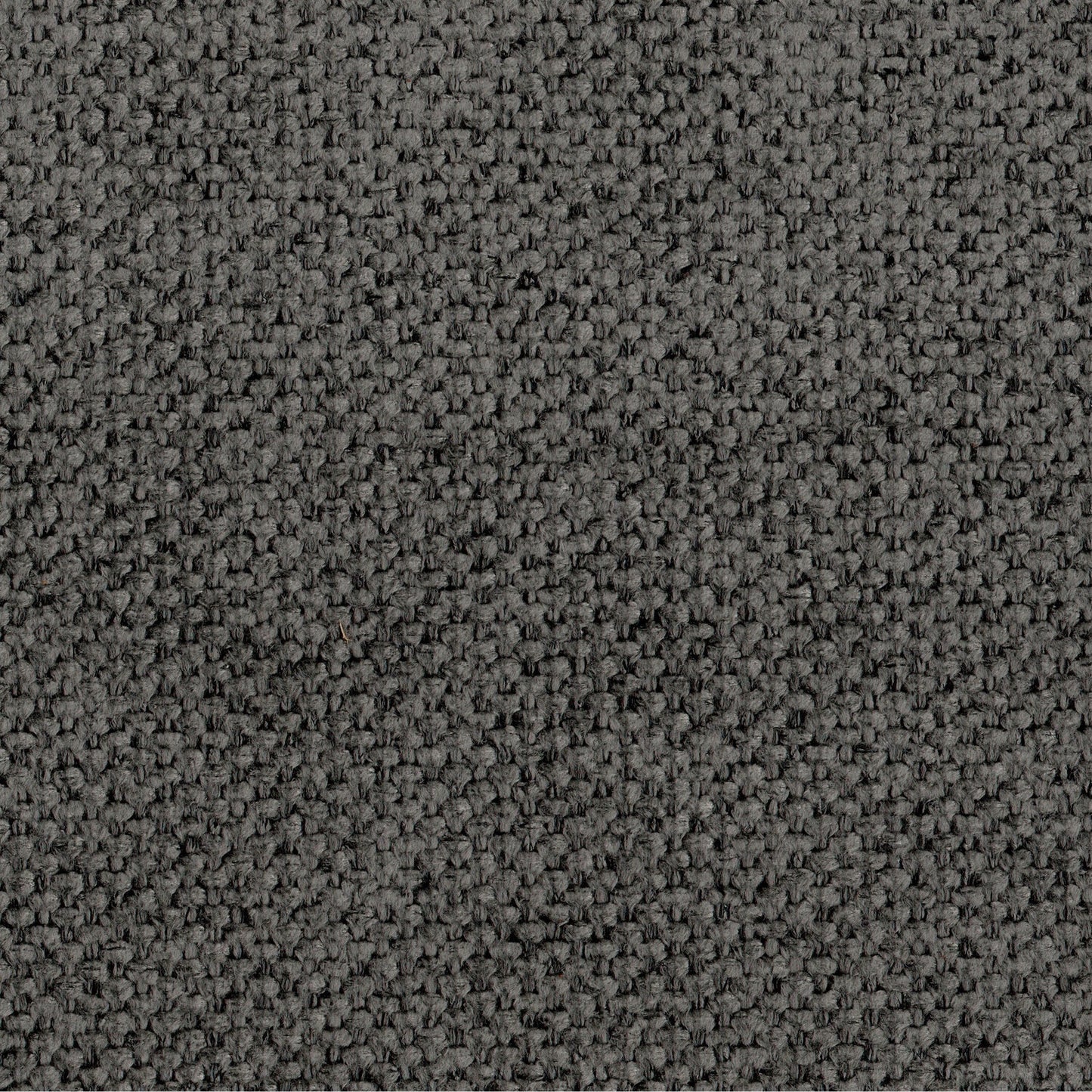 Divano Ino, poliestere grigio scuro, cuscini in schiuma, base in legno massello, 88 pollici