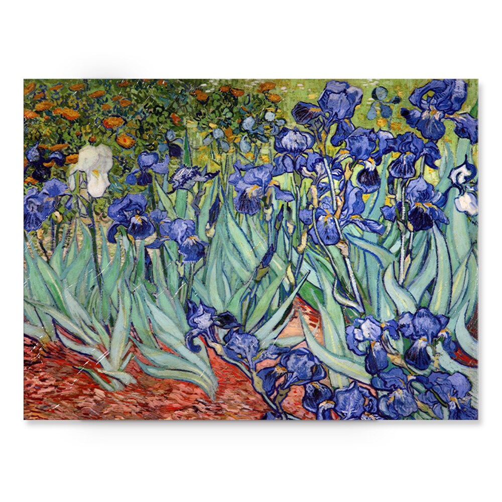 Vincent van Gogh 'Iries' - Quadro su tela
