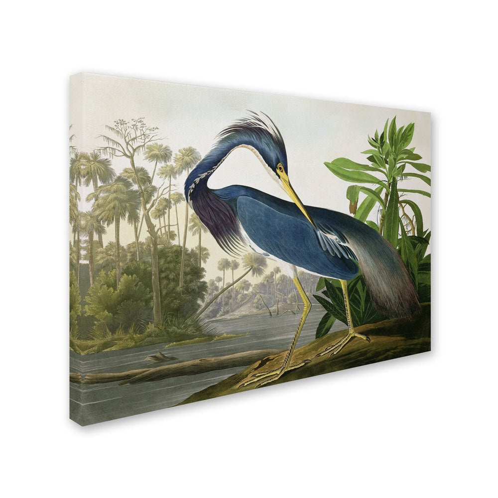 L'opera d'arte su tela "Louisiana Heron" di John James Audubon, curata da The Curated Nomad