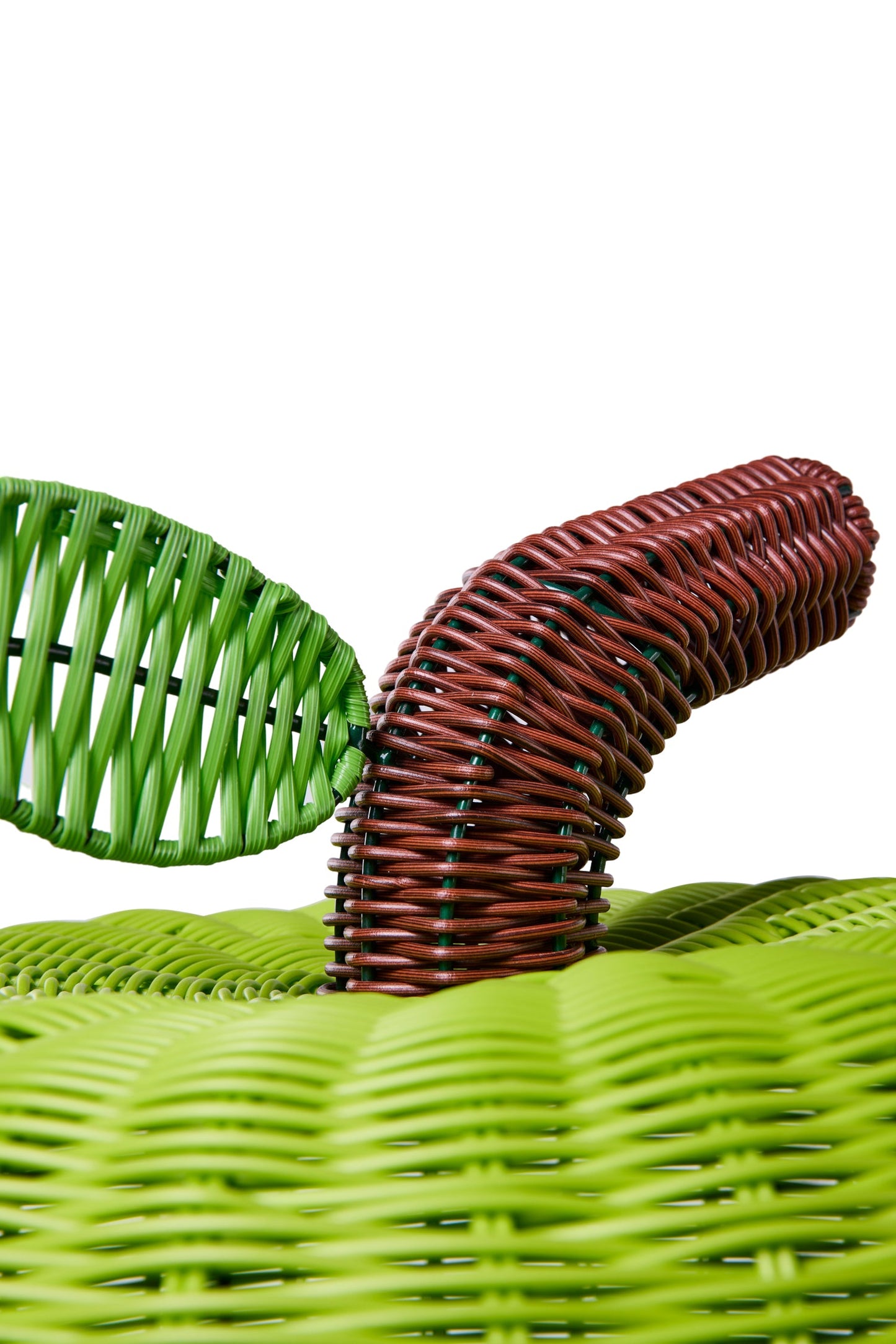 Cestini per animali domestici - Mela Verde